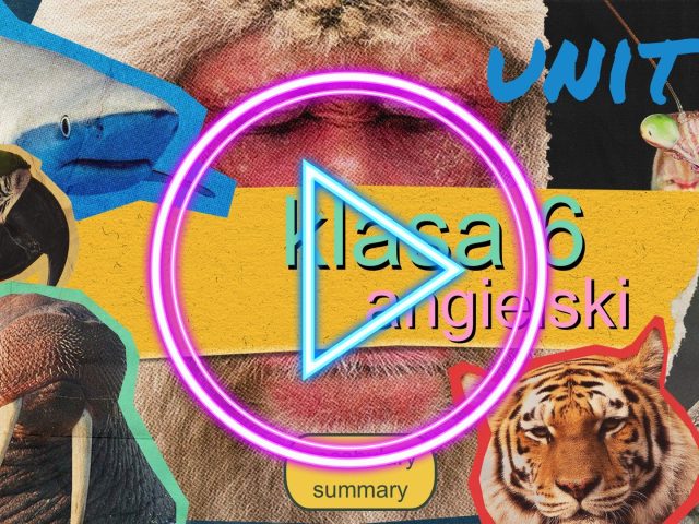 Filmik z fiszkami i tłumaczeniem – Unit 4 Brainy 6 – dla szkoły podstawowej